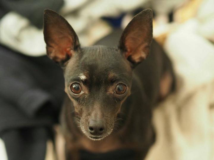 LEVELS ARE LIVE + FIRST TO LEVEL 2 INCENTIVE