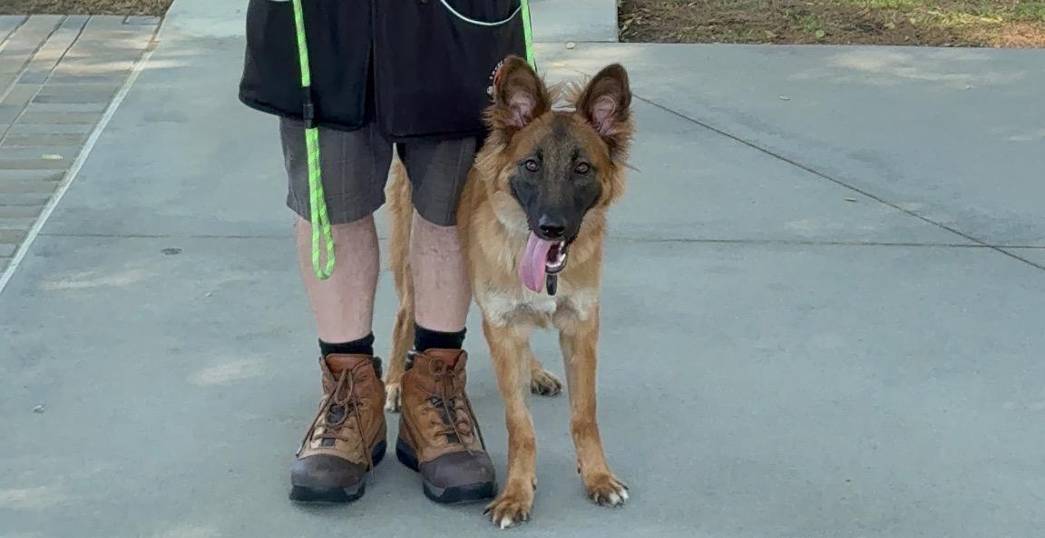 Building a Better Structured Walk