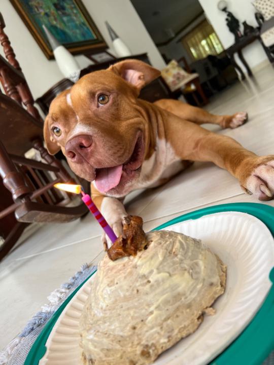 Víctor manuelle Vega santos