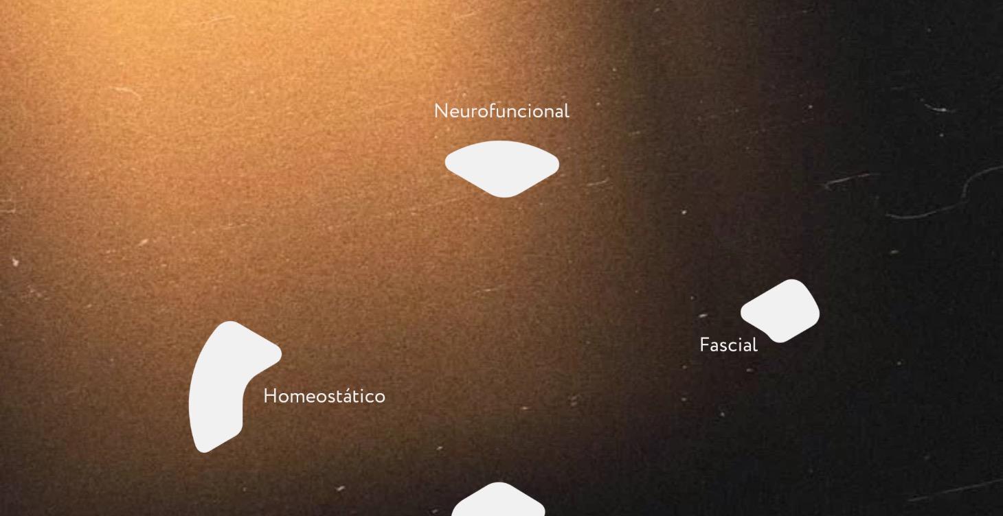 MODELO NEUROFASCIAL INTEGRATIVO. THE GAME CHANGER