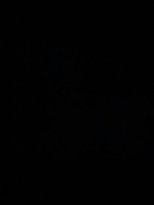 Lady Theodora Fang Bih