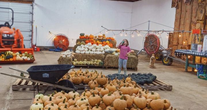 The Farm Girl Academy 🌿