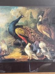 Randy and Cade Open For Business