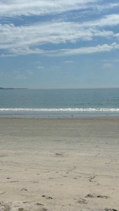 Dusica Brankov Zikic