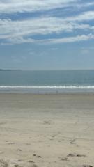 Dusica Brankov Zikic