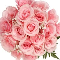 Maha Alqudwa