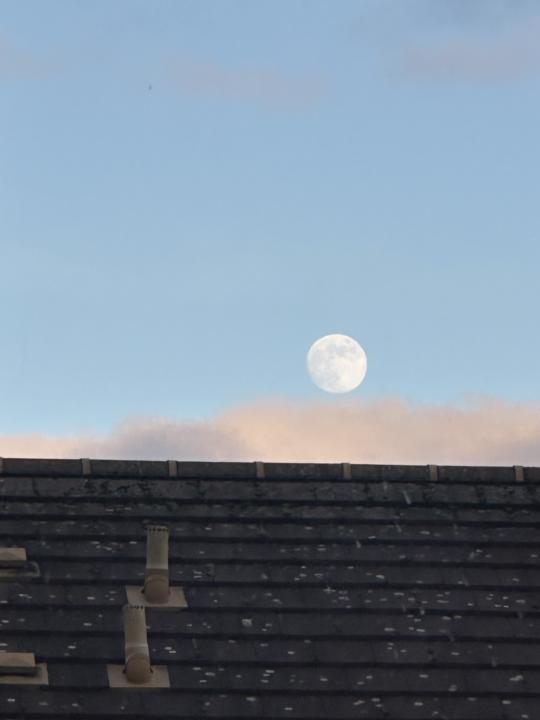 Edinburgh Reflections 