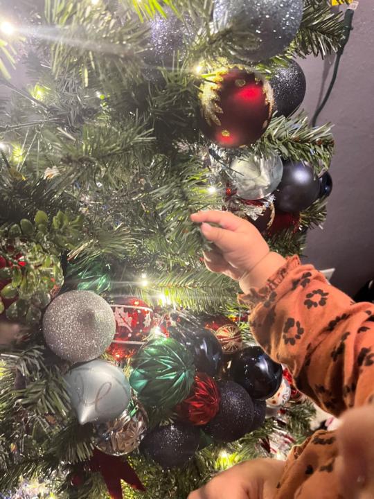 Sheily Guerra Ramirez