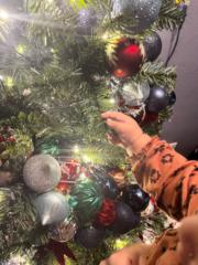 Sheily Guerra Ramirez