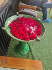 Maha Ameer