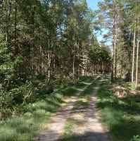 Ann-Charlotte Andersson