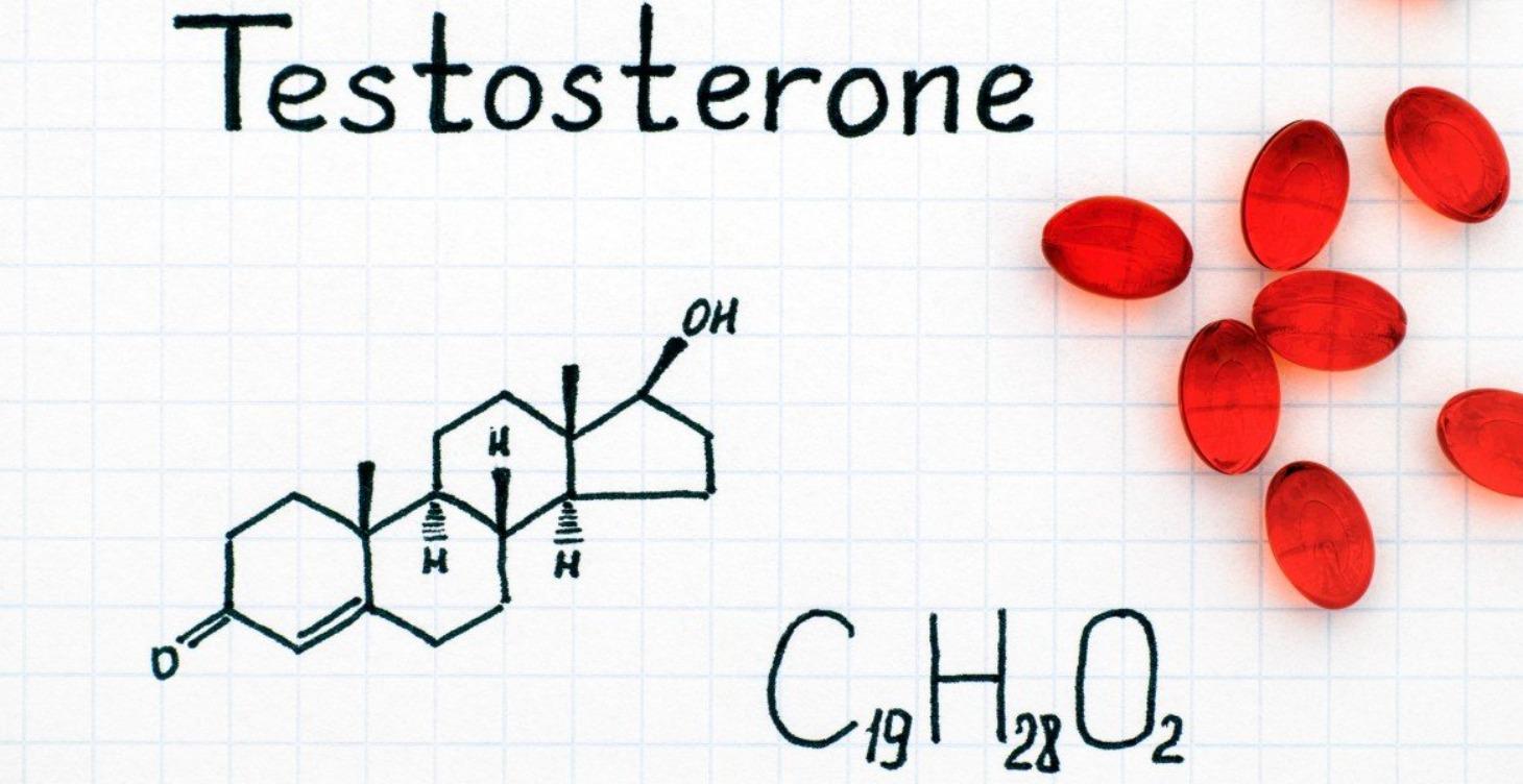 Hormones & Testosterone
