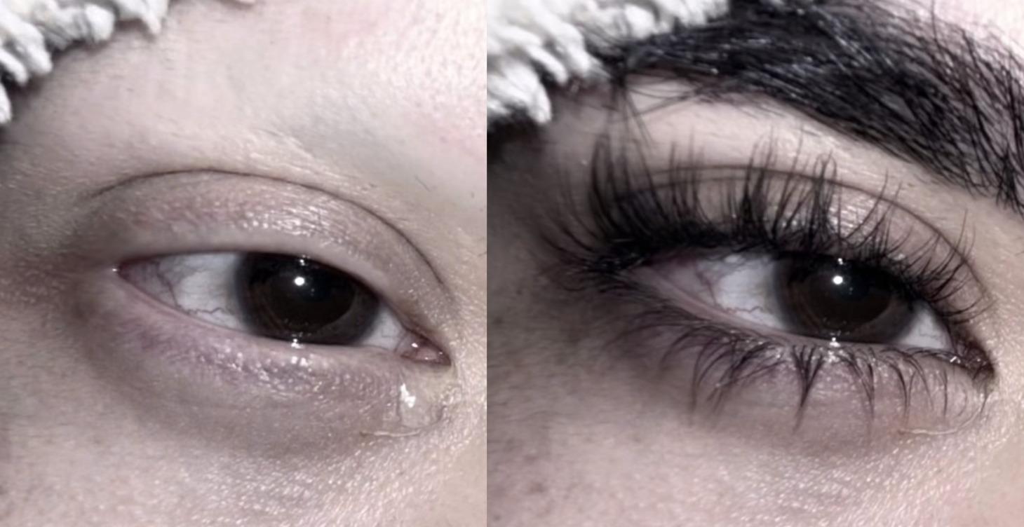 Eyebrows & Lashes