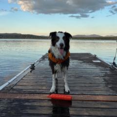 Anne-Philippe Leclair