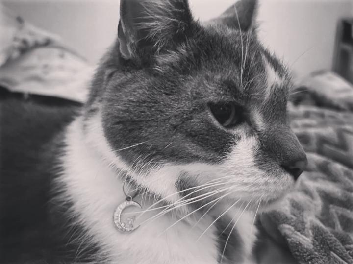 Catherine B. Provencher