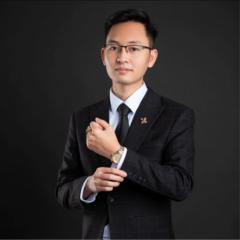 Duc Hanh Dinh