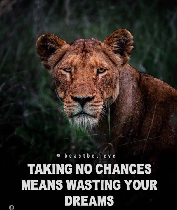 Katherinna Tardio Zevallos