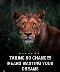 Katherinna Tardio Zevallos