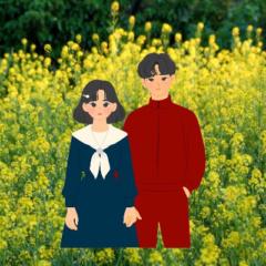 Kdrama Admin