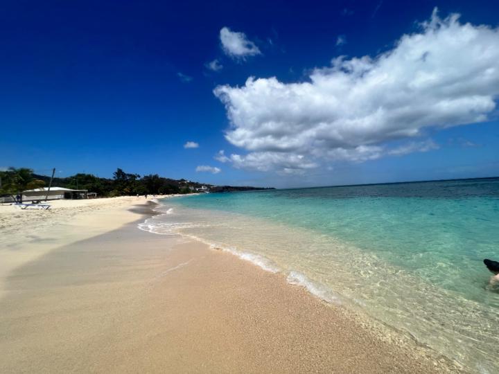 Becky Proctor-Fletcher