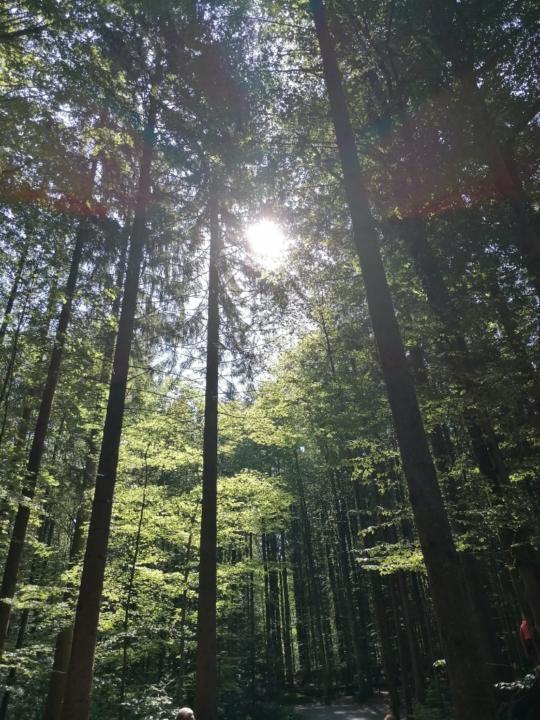 Tanja Hofmann-Hohenstein