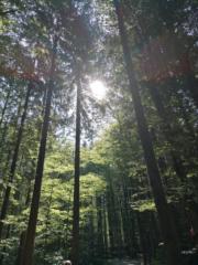 Tanja Hofmann-Hohenstein