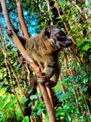 Andrianjanaka Hajatiana Lionel