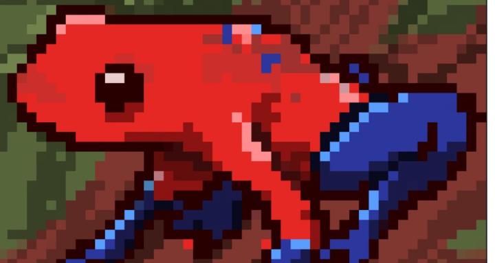Food Chain The Card Game