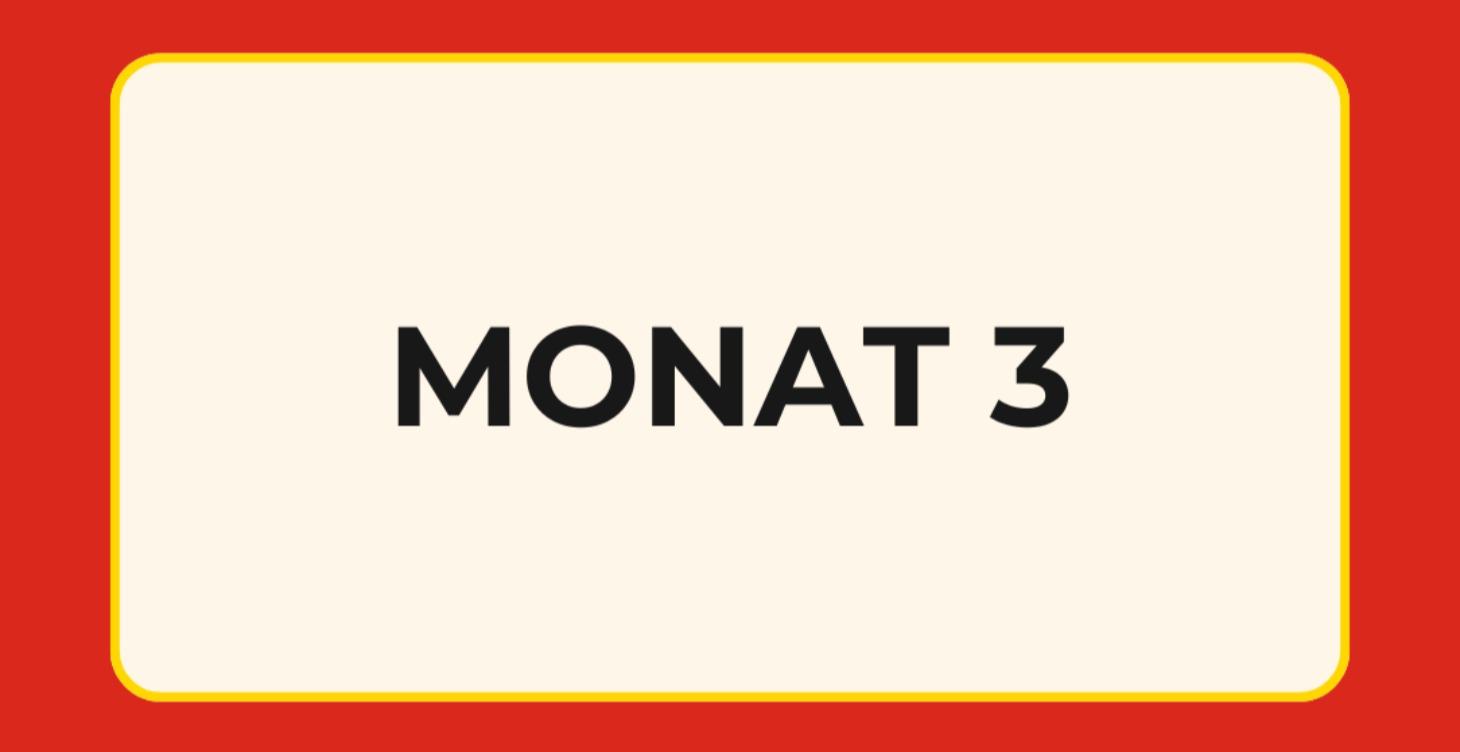 Monat 3