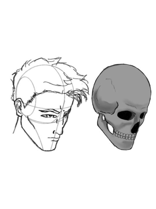 ✏️Bridging Construction & Anatomy 