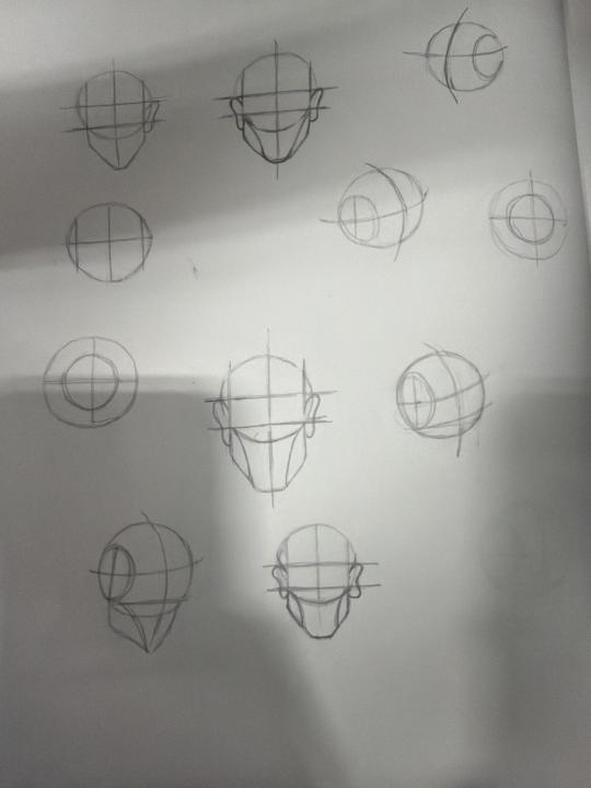 Foundation of the head