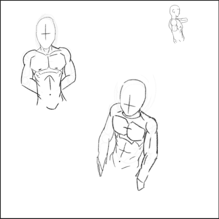 Getting more confident with anatomy