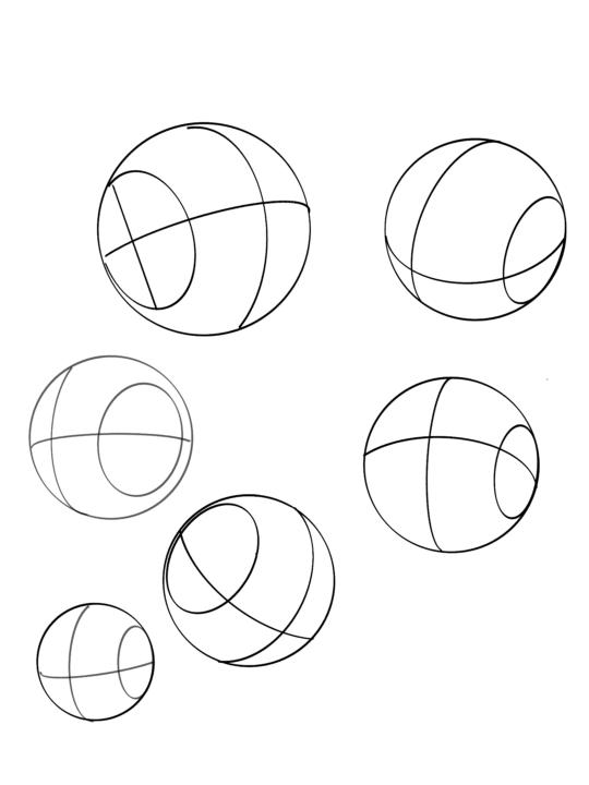 Understanding the Loomis Head Structure