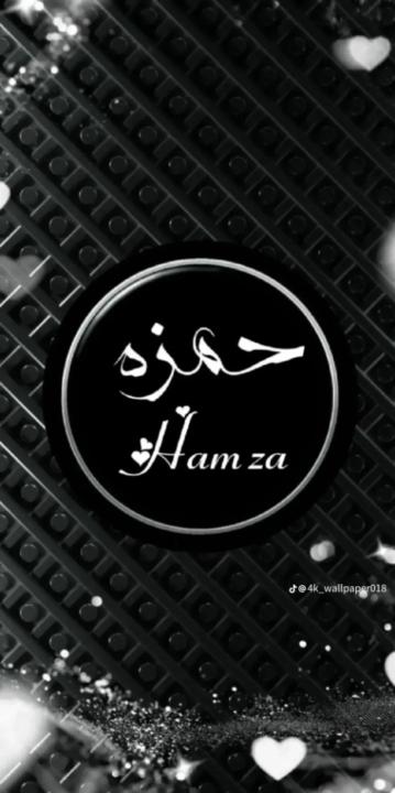 Hamza Chenaoui