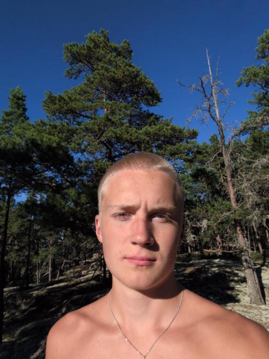 Leo Stenström
