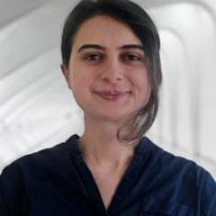Ani Barseghian