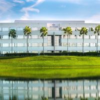 Mohammed Abed alwahab