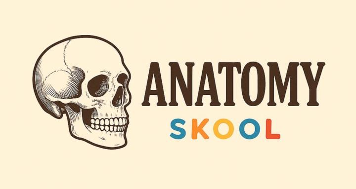 Anatomy Skool