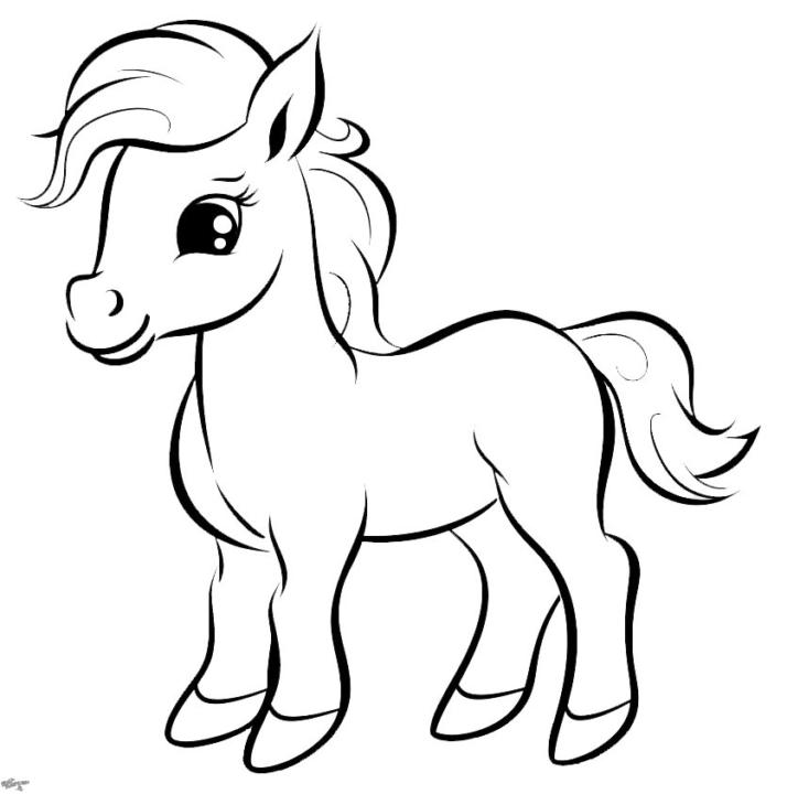 Patrycja Zawadzka-Meus