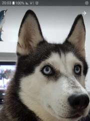 Rubin Rozalia cristina