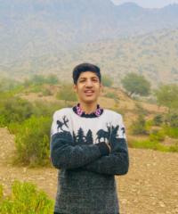 Hammad Haider