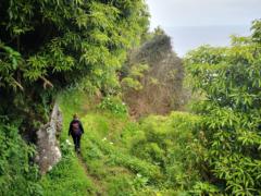 Christina Topitschnig