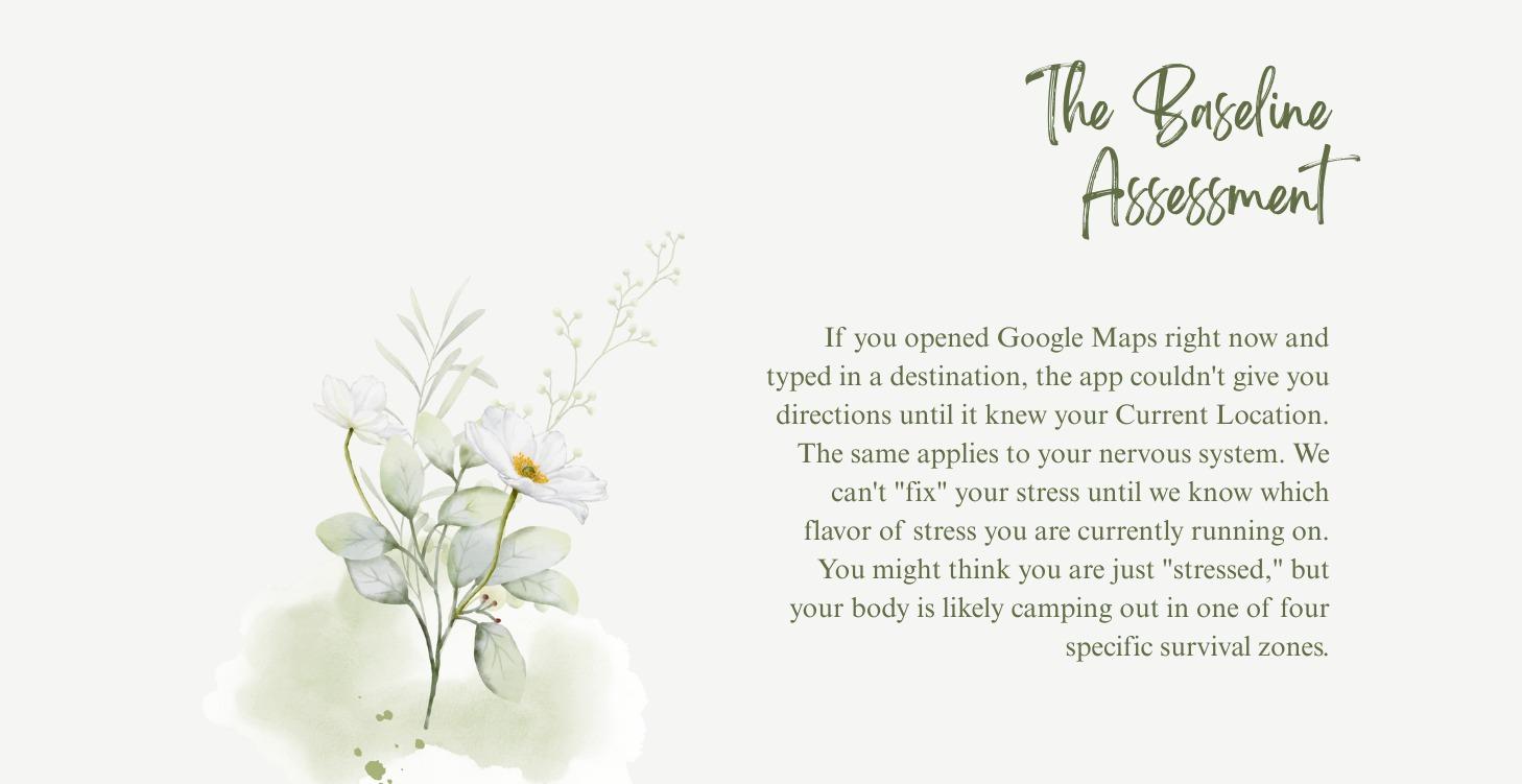 Lesson 1.3: The Baseline Assessment