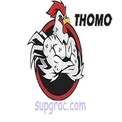 Đá gà trực tiếp Thomo