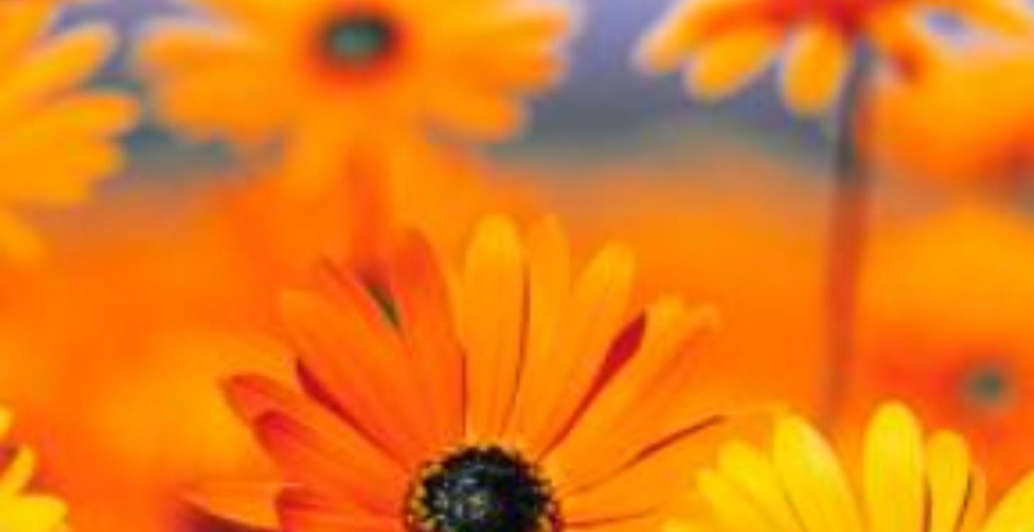 FREE - 60 Day Bible Challenge Level 2