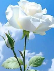 Naglaa Elsayed