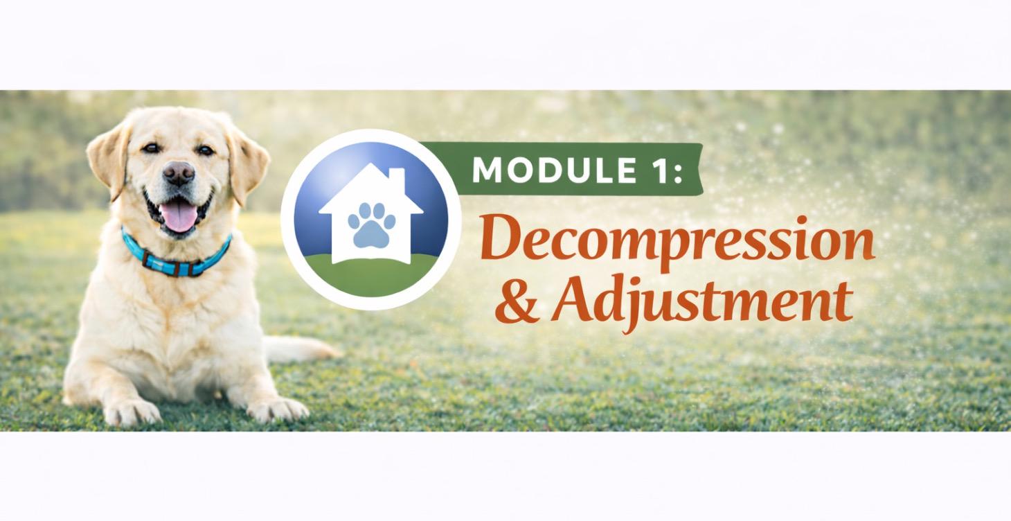 Decompression and Adjustment Module 1: