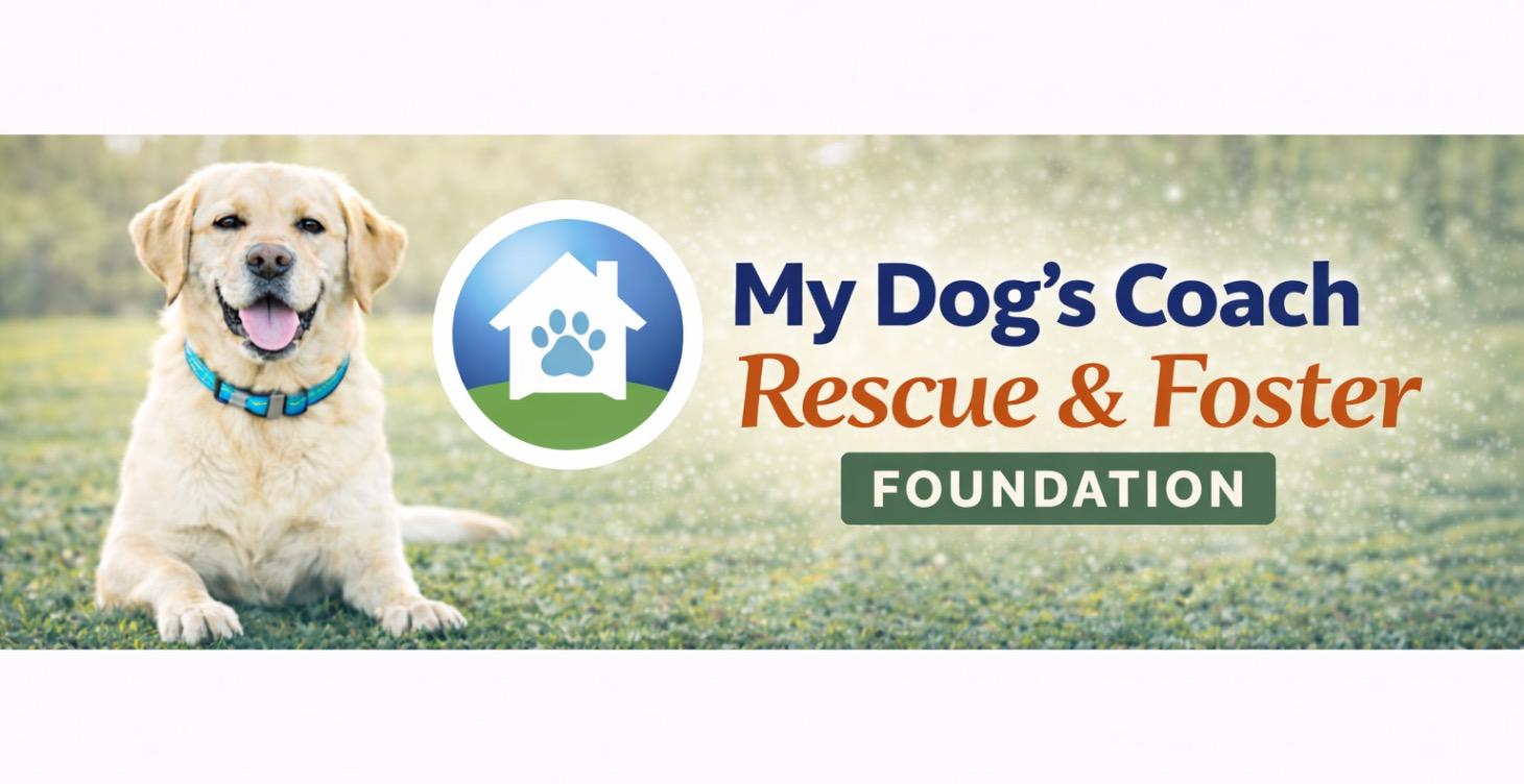 My Dog’s Coach: Rescue & Foster Foundations