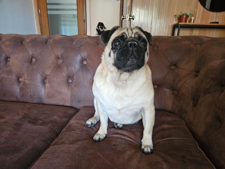 Jose ignacio Ruiz diaz