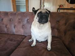 Jose ignacio Ruiz diaz